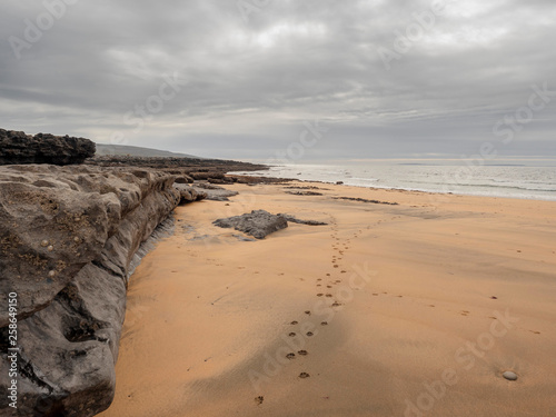 Beach in county Clare, Burren area, transition between sand and stone beach. cloudy day, gray clouds in the sky, animal footprint on the sand. 