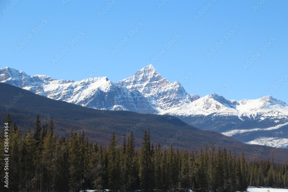 Winter On The High Peak, Jasper National Park, Alberta