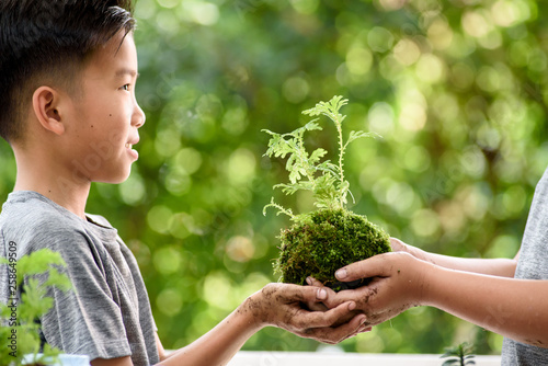 Young boy play with soil and seedling