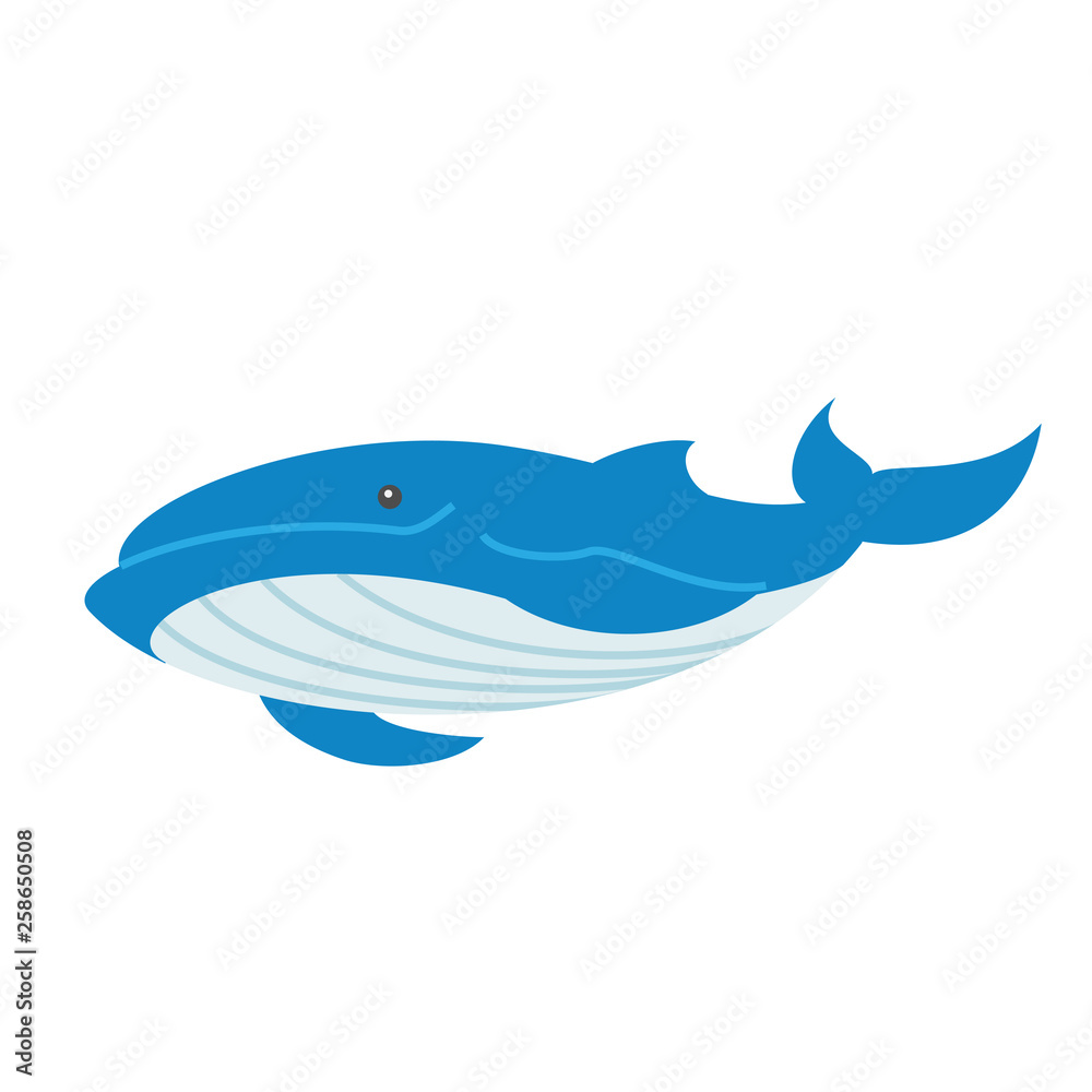 クジラ クジラ