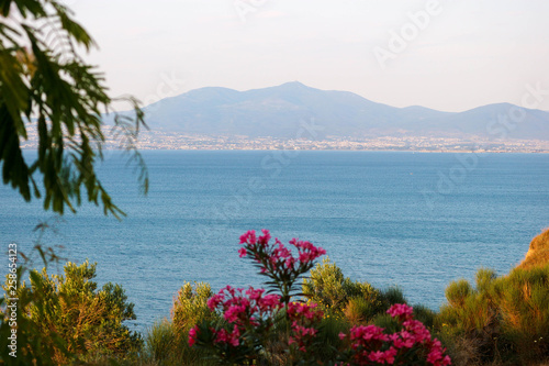 Amazing view to the Mediterranean sea with red flowers
