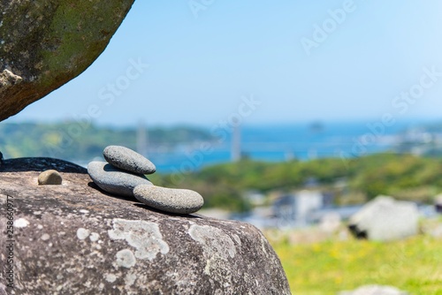 風景に溶け込む石