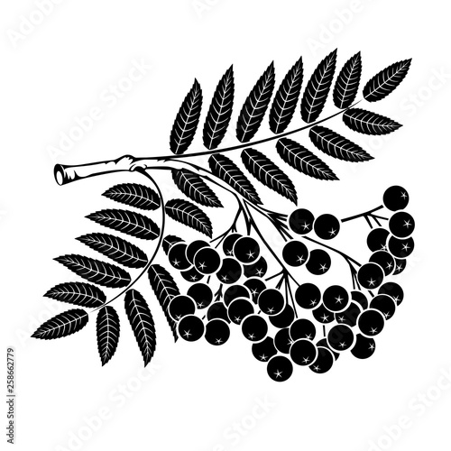 Rowan branch