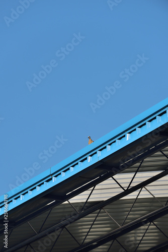 An exterior of a sport hall showing metal sheet and steel construction. Showing black steel trusses, rows of holes in a steel column and a blue raining gutter and black down pipe with natural light.