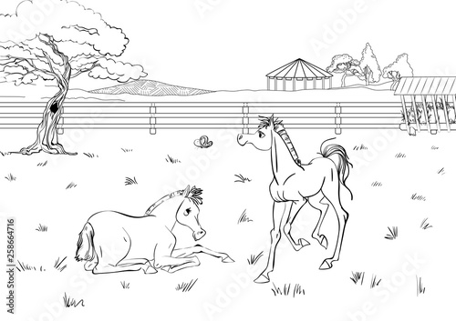 Cartoon style scene with horses for a stabling management book. Children coloring book design.