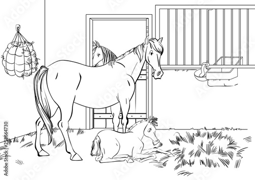 Cartoon style scene with horses for a stabling management book. Children coloring book design.