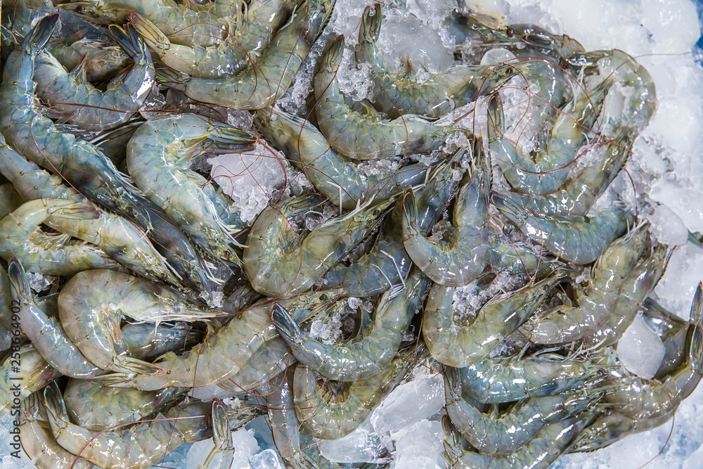 Fresh shrimps on the ice on display and sale in fish shop. fresh shrimps from top view ready for sale at the market, shrimps background with copy space. Fresh tiger prawns with ice. Fresh shrimps on the ice on display and sale in fish shop. fresh shrimps from top view ready for sale at the market, shrimps background with copy space. Fresh tiger prawns with ice.