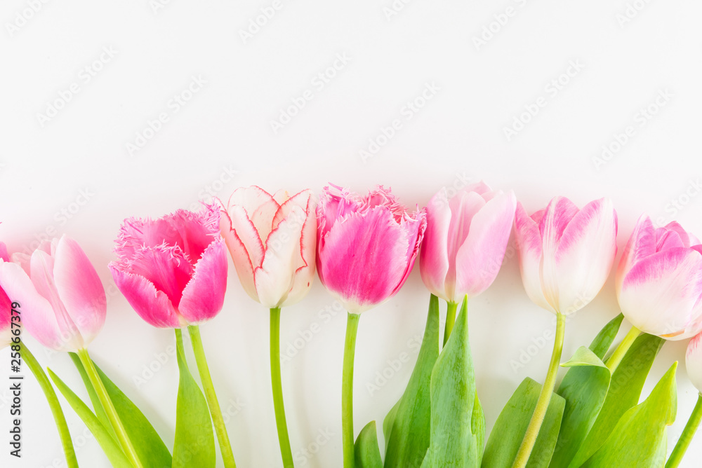 Pink and white bouquet of tulips on white background. Pink and white bouquet of tulips on white background.