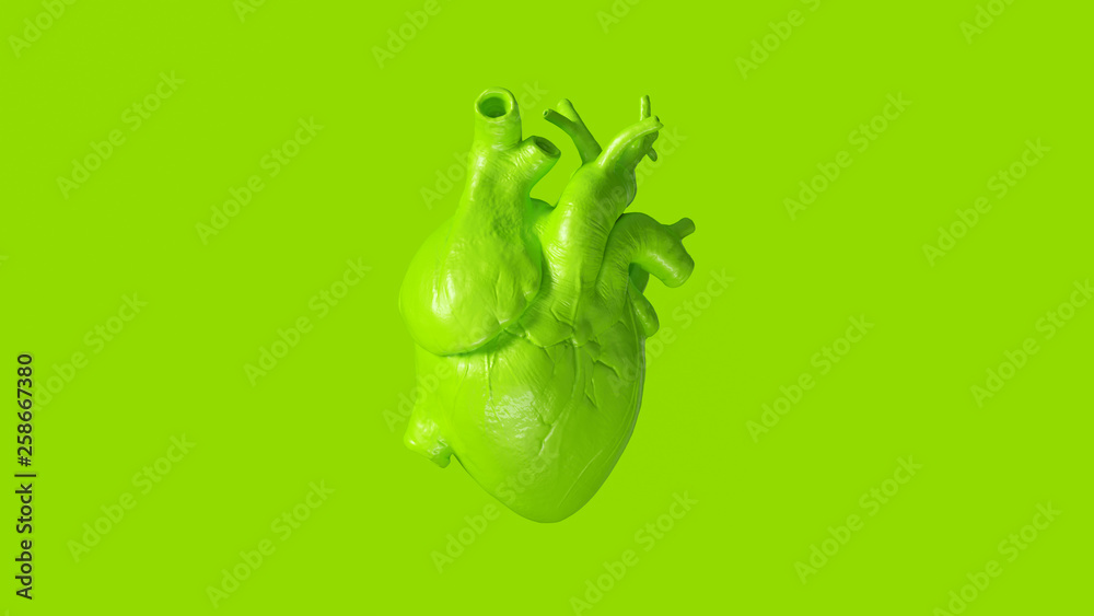 Lime Green Anatomical Heart 3d illustration 3d render