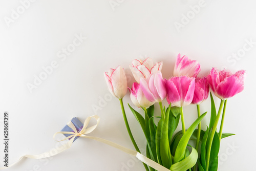 Wallpaper Mural Pink and white bouquet of tulips on white background. Torontodigital.ca