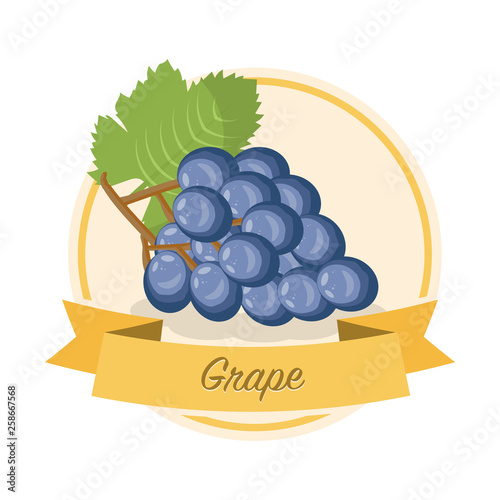 Ripe grape with name vector illustration