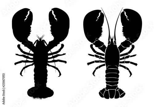 Lobster Silhouette Icon on White Background. Vector - Vector © sutthithep