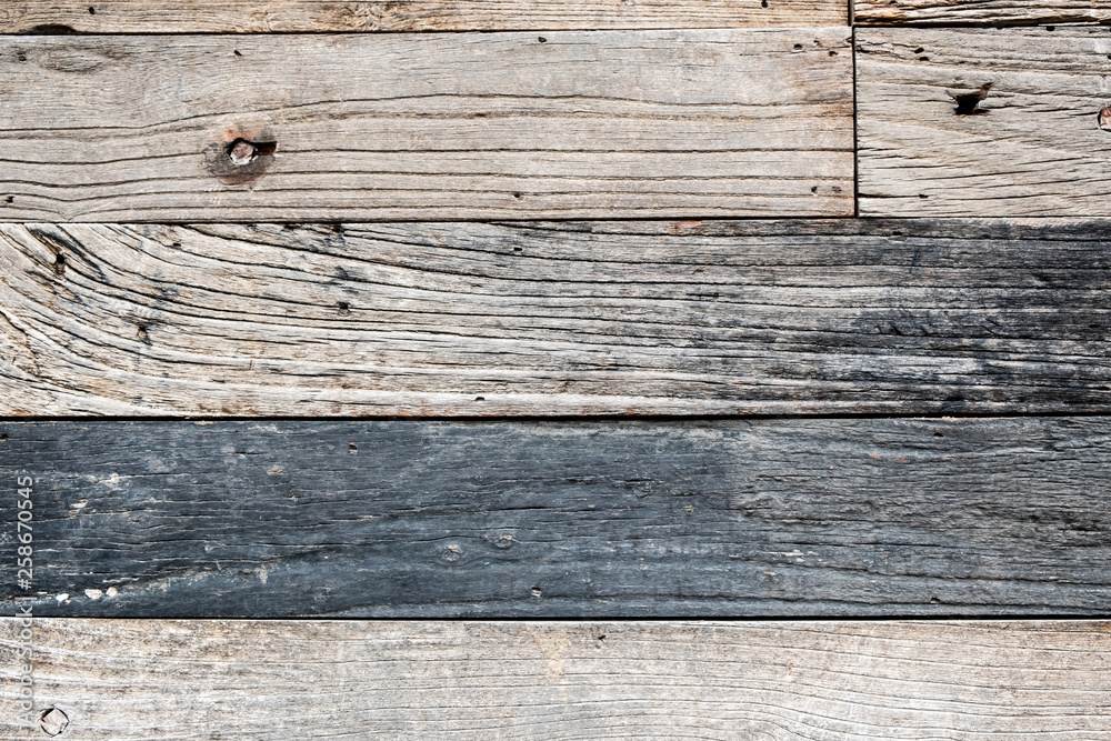 Wood texture background, natural tree Wood texture background, natural tree