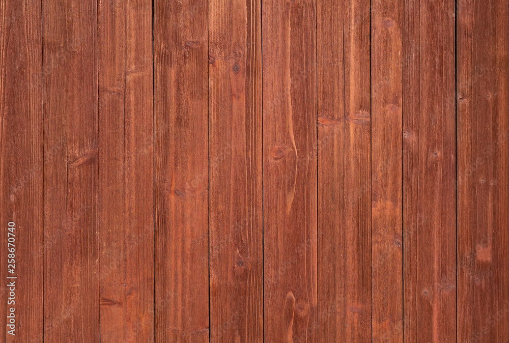 Fototapeta premium Wood texture background, natural tree