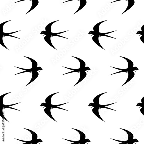 Swallow  swift  birds. Graphic vector pattern. Decorative seamless background