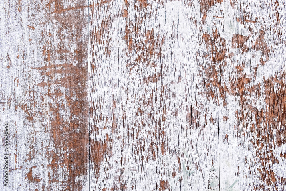 Wood texture background, natural tree