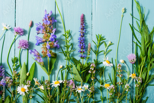 herbal flowers on blue wooden table background