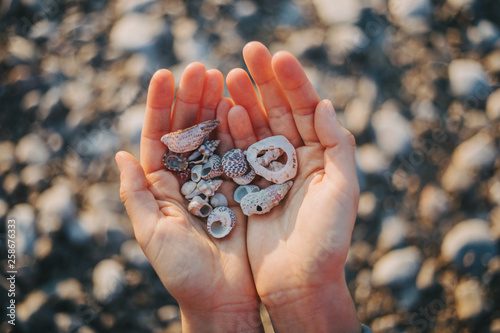 hand holding seashell on beach