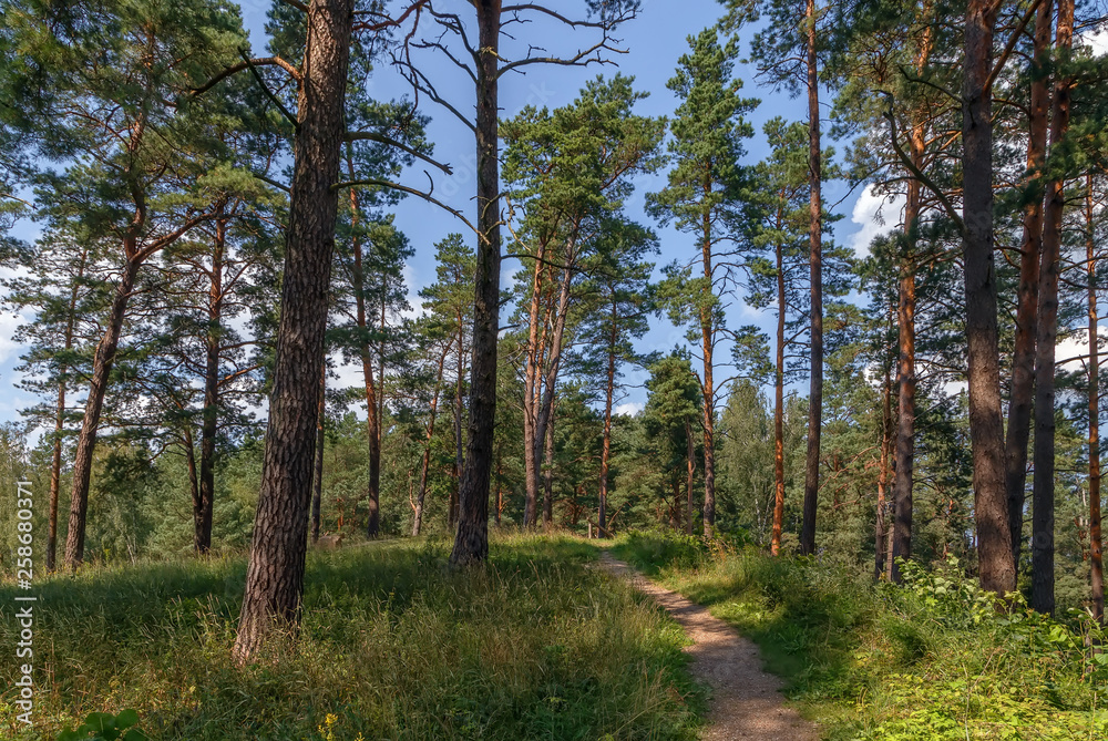 Fototapeta premium Aukstaitija National Park, Lithuania