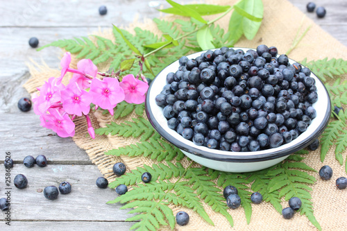 bowl of ripe forest blueberries on the table.