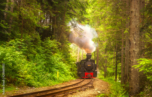 Mocanita steam train in forest from Bucovina or Maramures, Romania