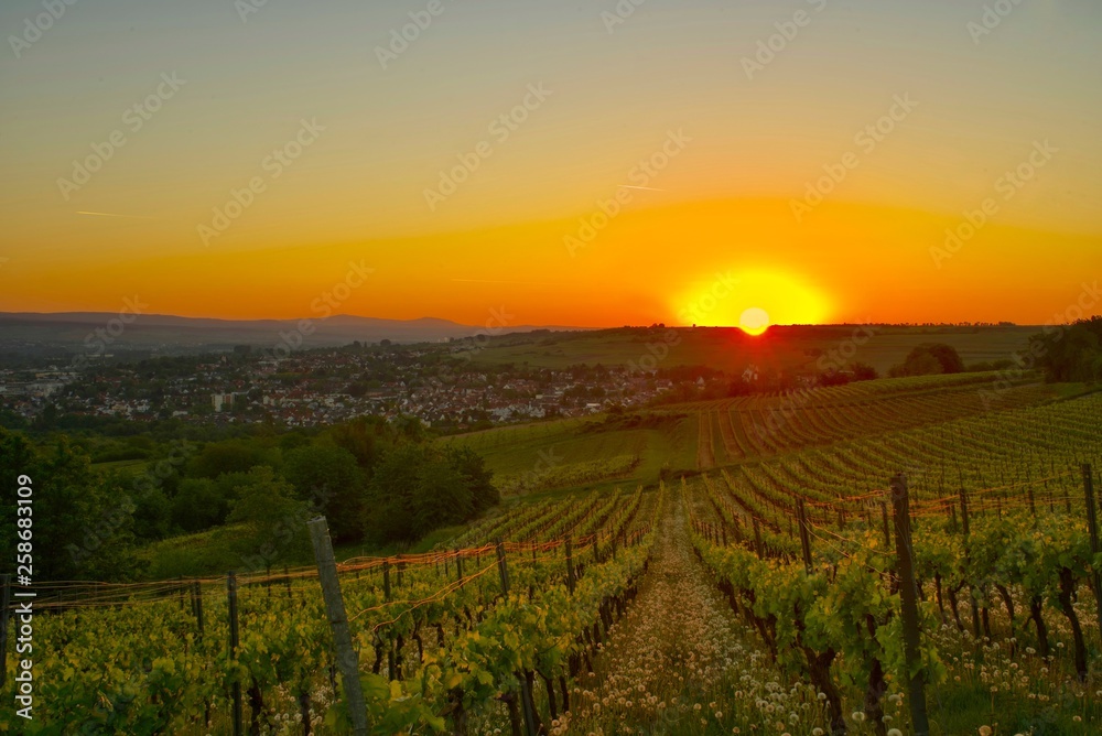 Sunrise in Ingelheim