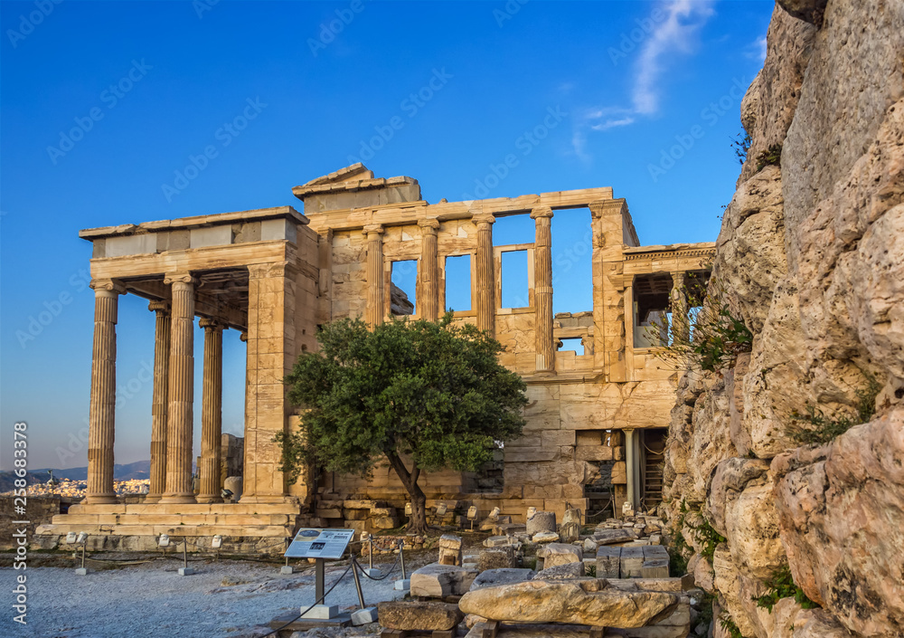 Porch of Poseidon, part of Erechtheion, sacred olive tree, walls of temple of Athena Polias on Acropolis, Athens, Greece against blue sky
