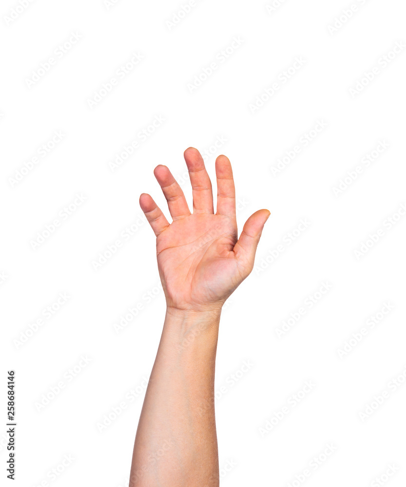 Male bare hand raising up against white background Male bare hand raising up against white background