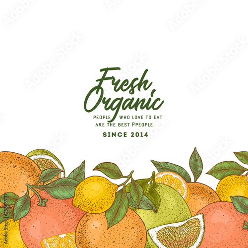 Fresh citrus design template. Engraved style illustration. Orange, lemon, tangerine, pomelo, grapefruit. Vector illustration