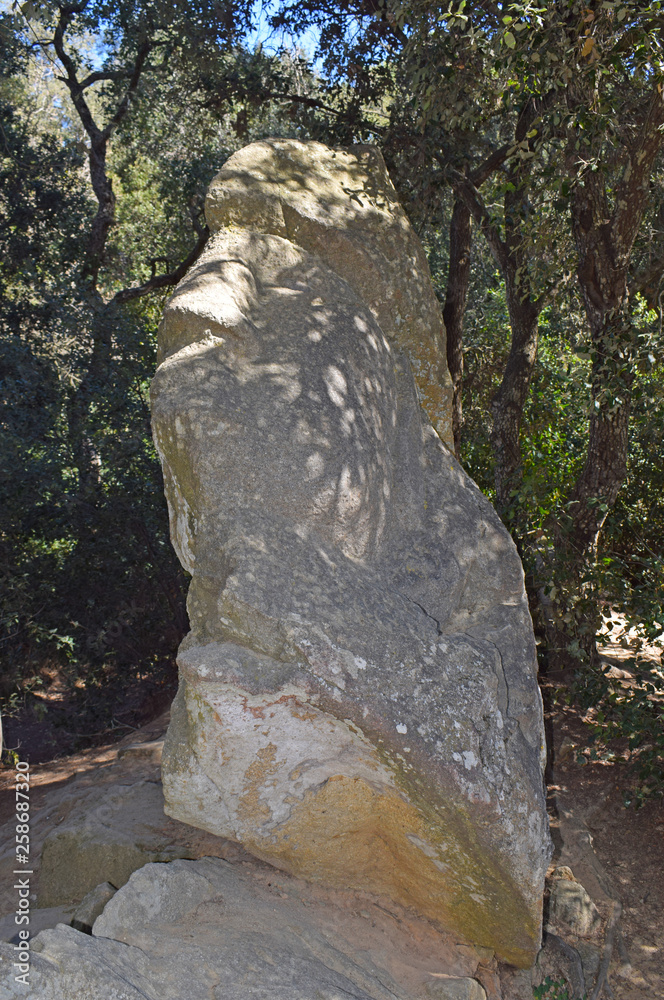 El bosque encantado de Orrius en Barcelona El bosque encantado de Orrius en Barcelona