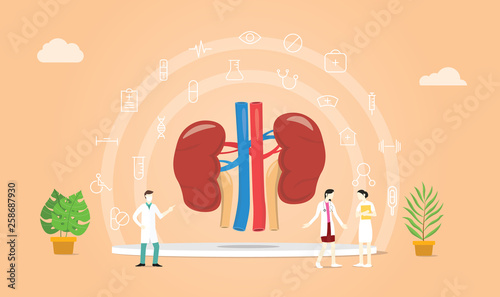 human kidney health with doctor team discuss and healthy icon spread with modern flat style - vector