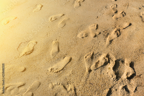 Vacation concept. Foot steps on the sand at sunshine. 