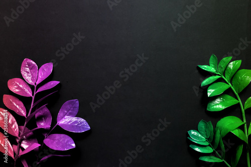 Tropical neon leaves  on  black background. Flat lay  top view.Creative floral background for text with empty copy space.trend