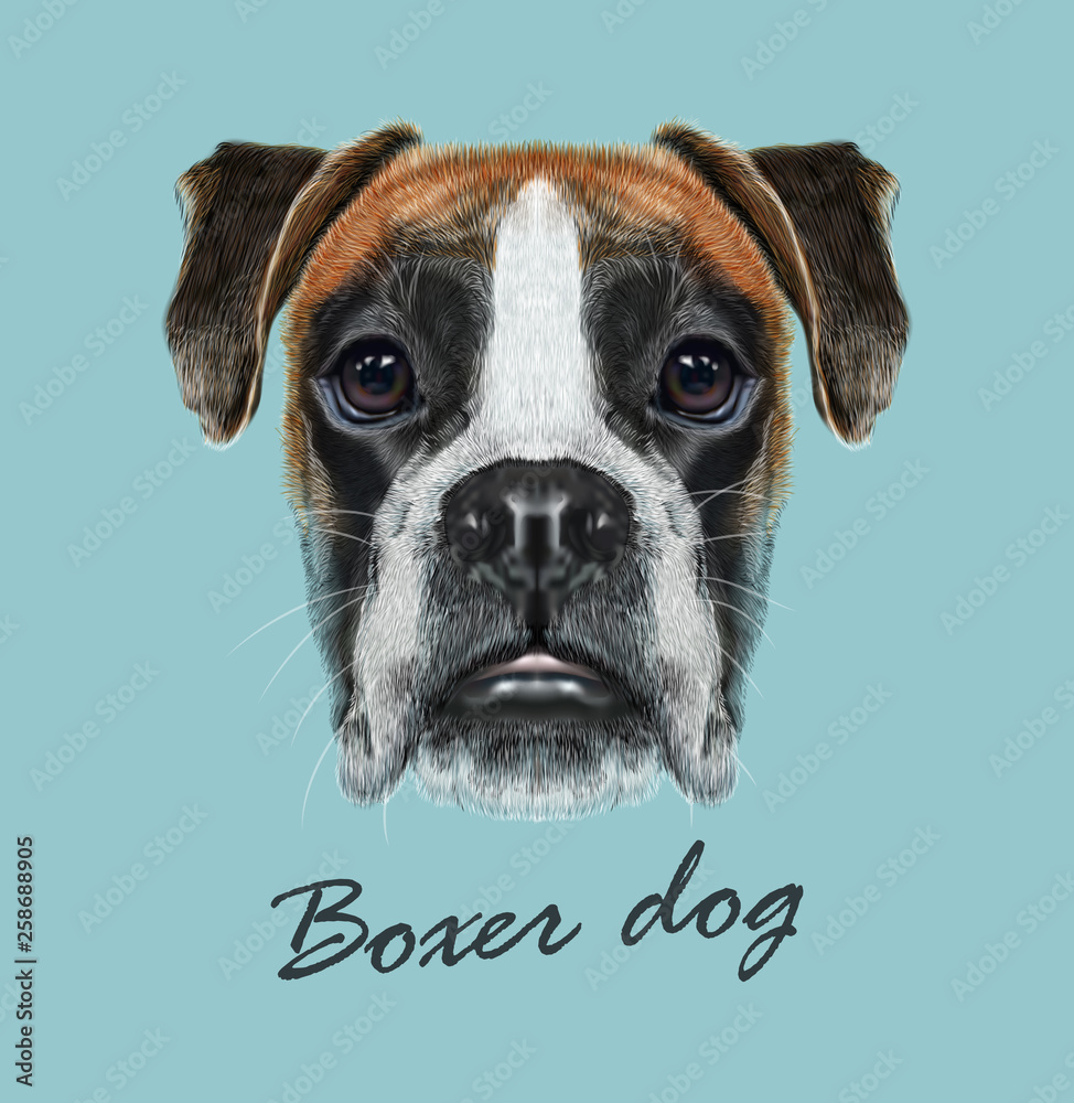 Boxer dog animal cute face. Vector fawn German boxer puppy head portrait.  Realistic fur portrait of purebred brown boxer doggy isolated on blue  background. Stock Vector | Adobe Stock