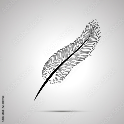 Realistic feather outline simple black icon