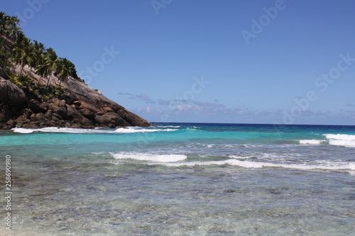 North island seychelles beach Indian Ocean palms