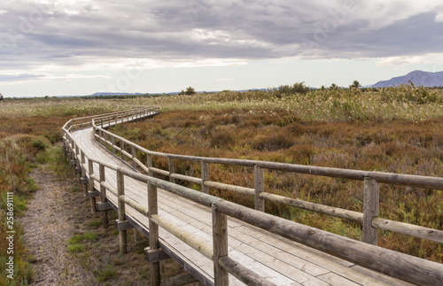 view of a wooden walkway between the reeds and the vegetation of a wetland on cloudy day © Supermelon