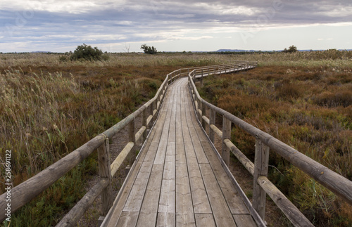 Fototapeta Naklejka Na Ścianę i Meble -  view of a wooden walkway between the reeds and the vegetation of a wetland on cloudy day