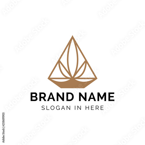 luxury diamond with crown and leaves shaped inside logo template design illustration
