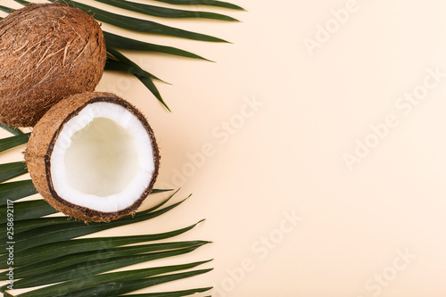Coconut and palm leaves, copy space. Summer mood, tropical background, blank.