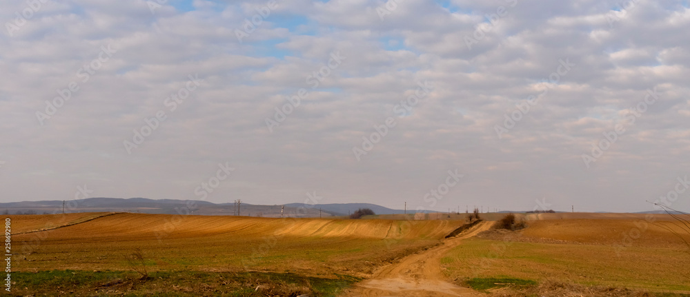 Rural scenery in Moldavia, along the national road E85. Hills covered in golden light Rural scenery in Moldavia, along the national road E85. Hills covered in golden light