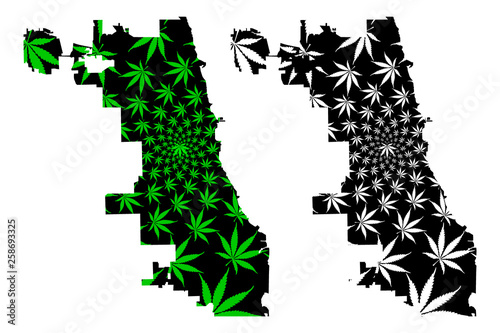Chicago city (United States of America, USA, U.S., US, United States cities, usa city) -  map is designed cannabis leaf green and black, City of Chicago map made of marijuana (marihuana,THC) foliage,