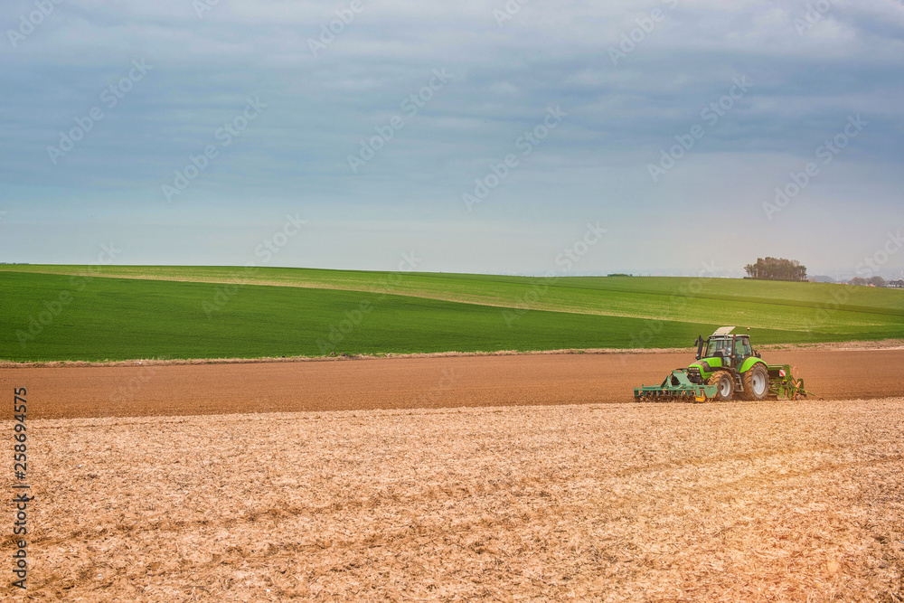 Fototapeta premium plantations de printemps