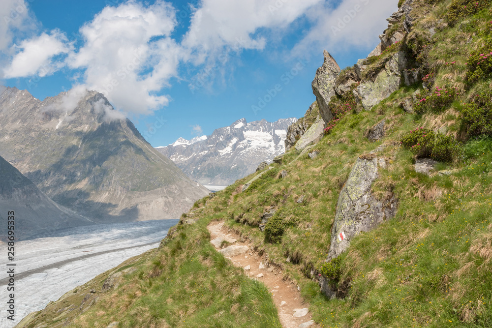 Obraz premium Panorama of mountains scene, walk through the great Aletsch Glacier