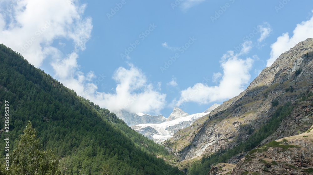 Obraz premium summer landscape with permanent glaciers Swizerland Alps