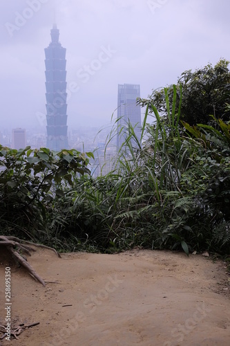 Taipei 101 from the Elephant Hiking trail