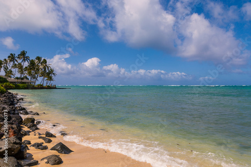 Beautiful shore of the ocean and palm trees at Kualoa, Oahu, Hawaii