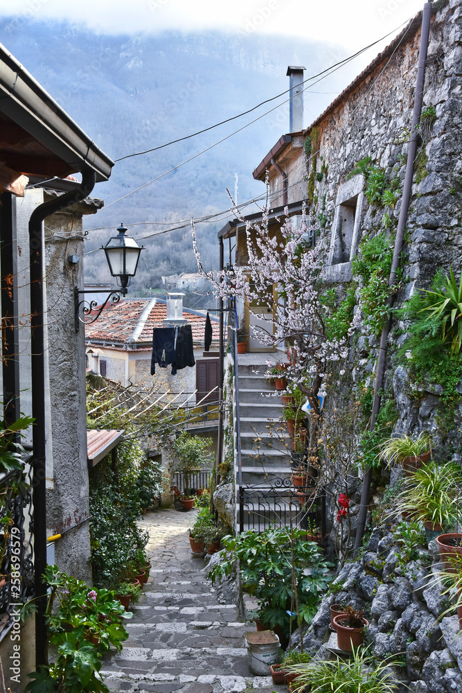 The medieval village of Sicignano degli Alburni in Italy