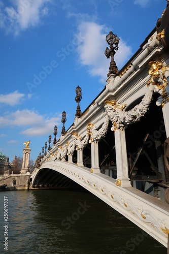 Pont Alexandre III sur la Seine à Paris (France)