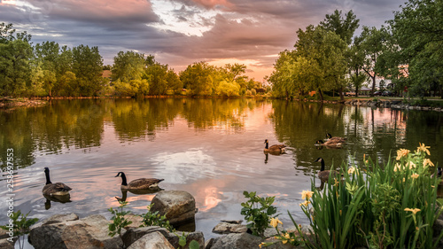 Sunset at Lake Loveland, Colorado with swimming ducks public park.